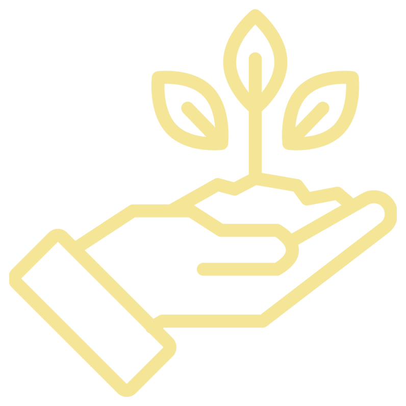 Imagem que simboliza o Propósito da empresa - Uma mão segurando uma planta